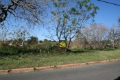venta Terreno